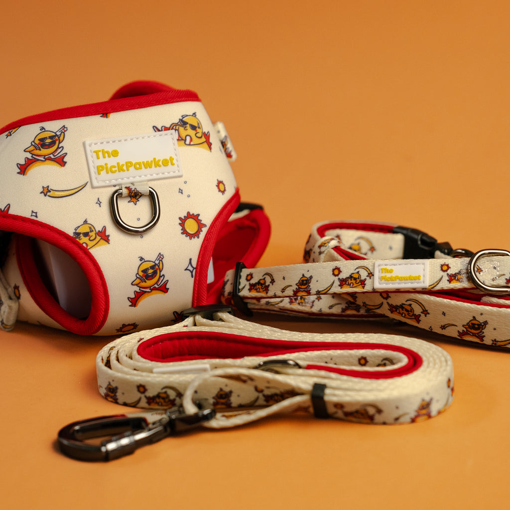 ThePickPawket - Sunny Side Up Collection | Dog Harness | Dog Leash | Dog Collar