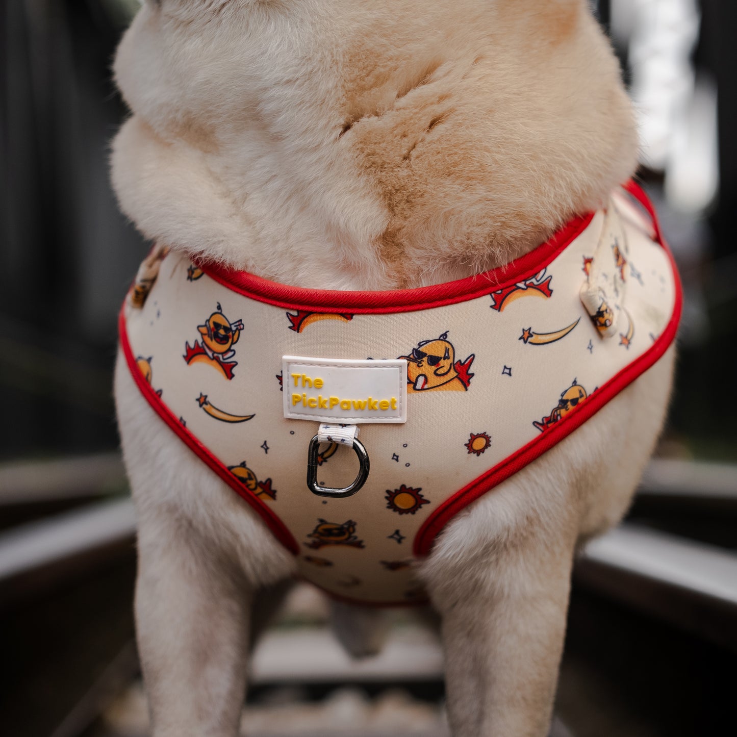 Sunny Side Up Harness