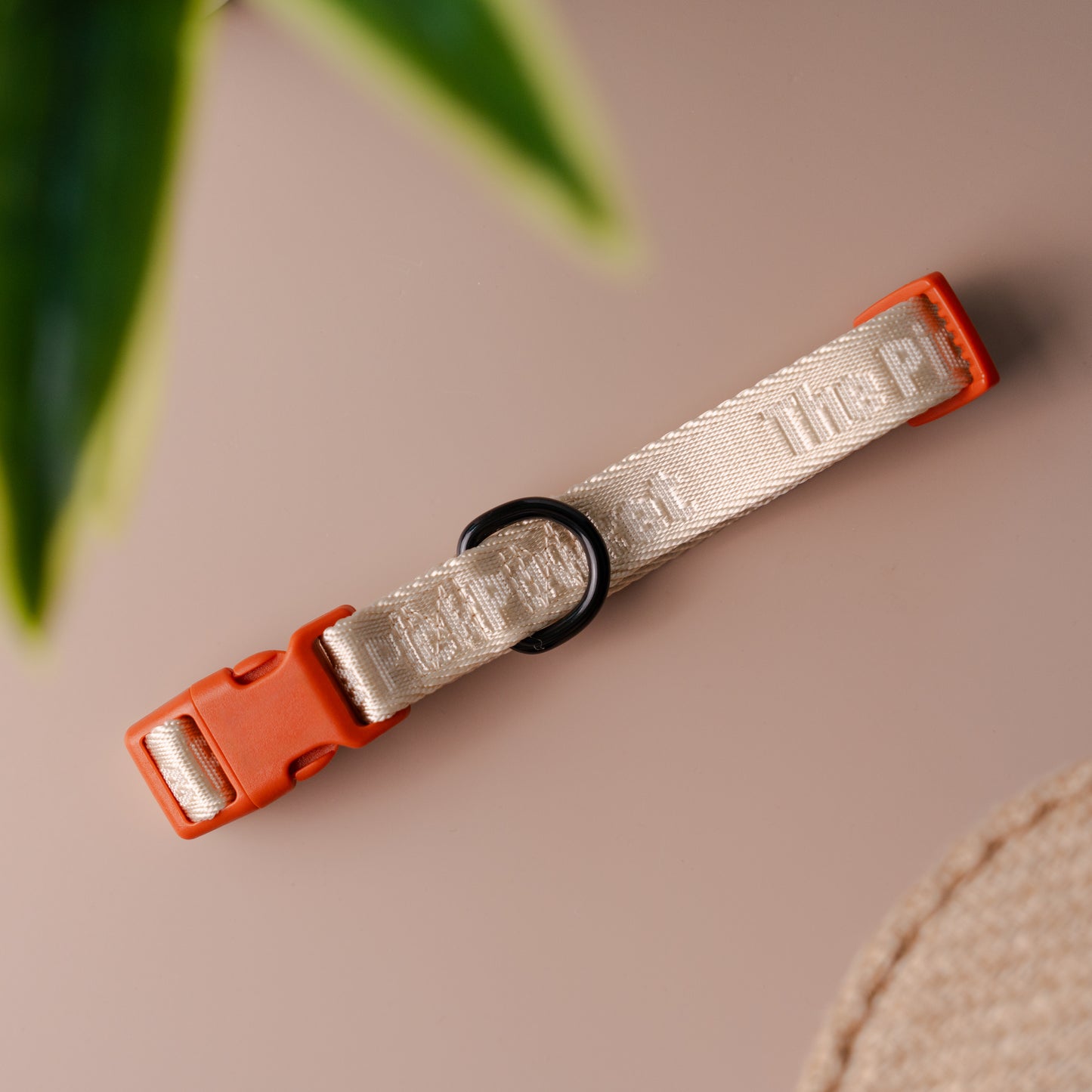 Colourpop Classic Collar