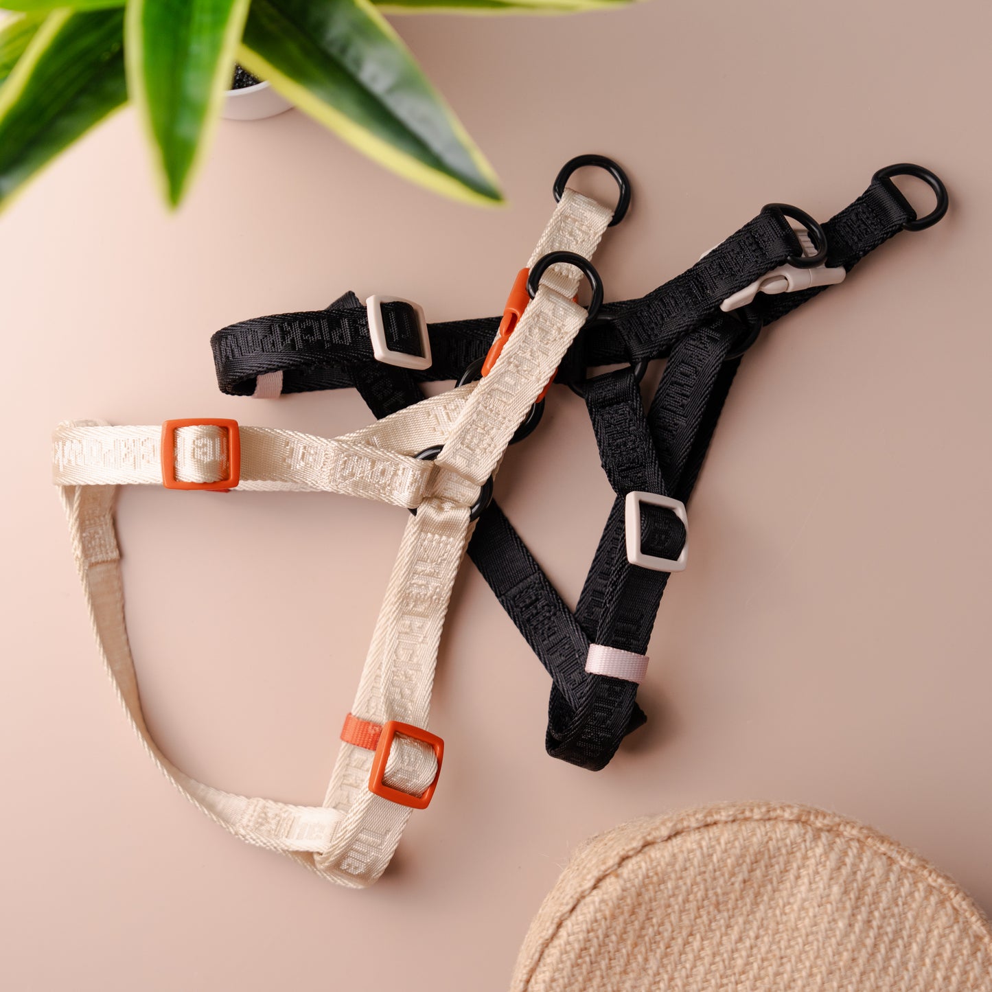 Colourpop Classic Strap Harness