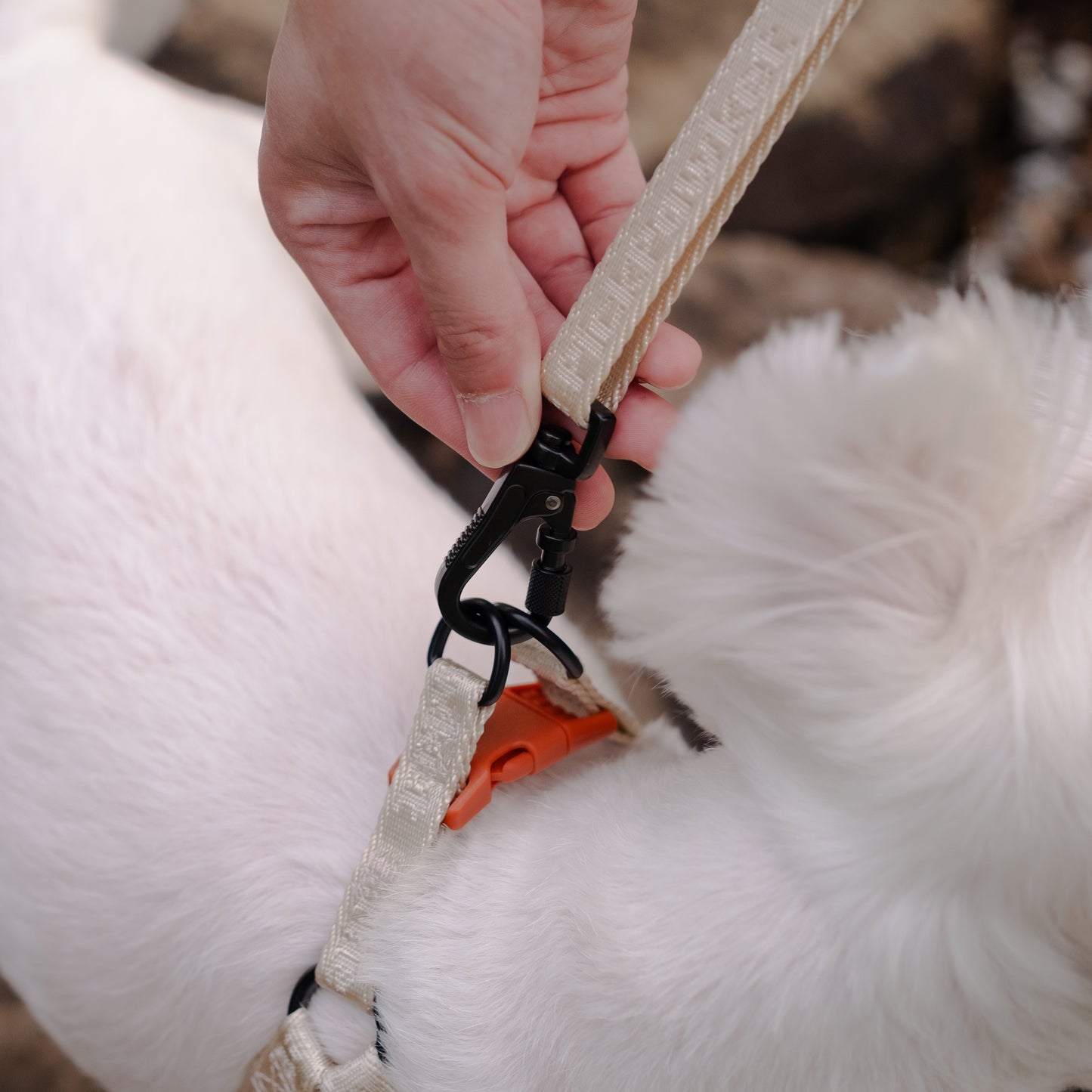 Colourpop Classic Hands-Free Leash