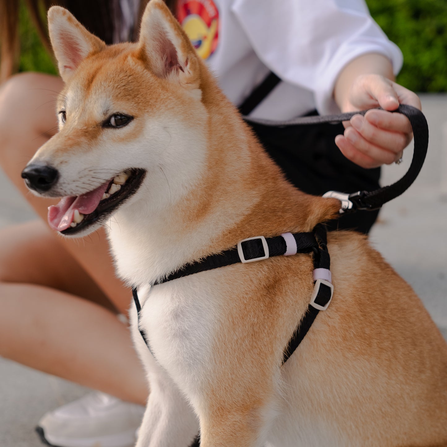 Colourpop Classic Strap Harness