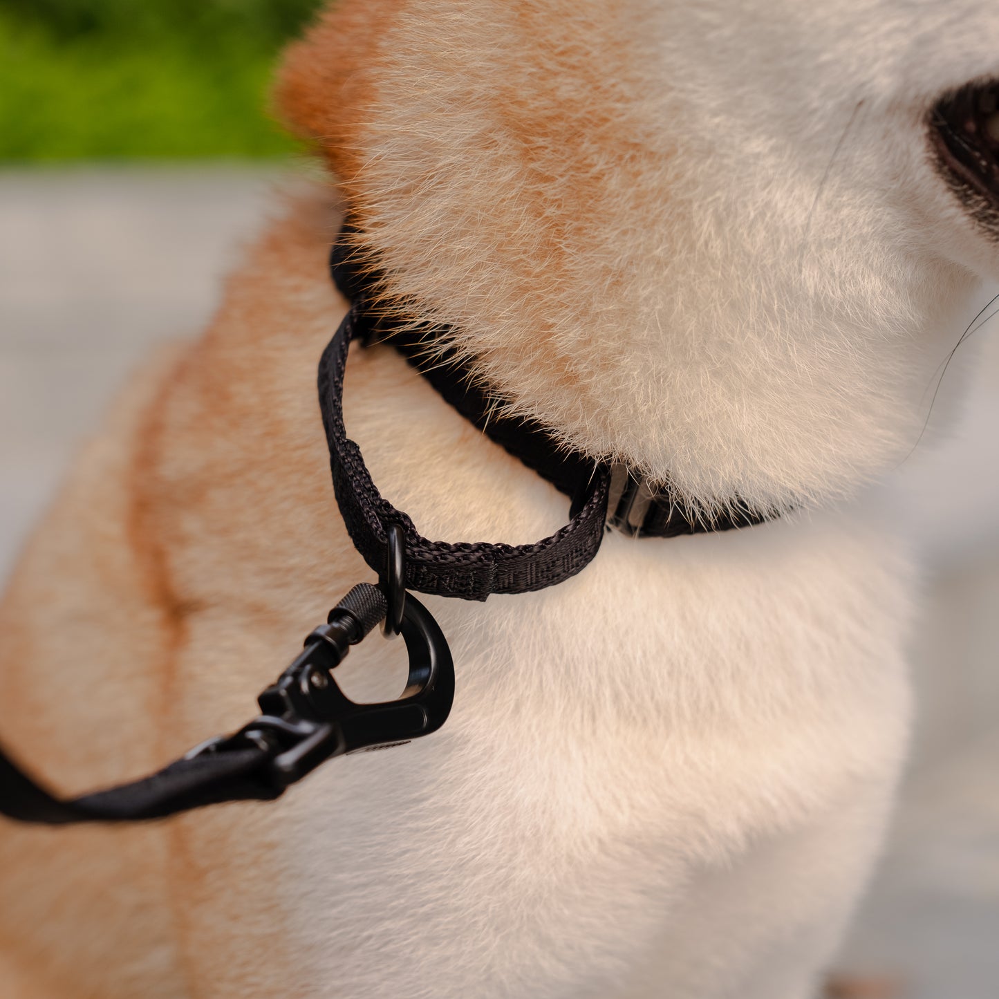 Colourpop Classic Strap Harness