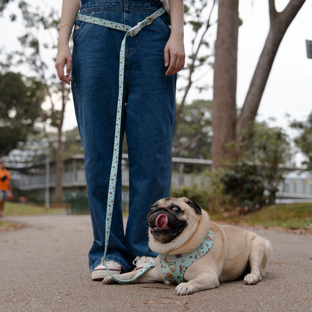 OverBaked Hands-free Leash