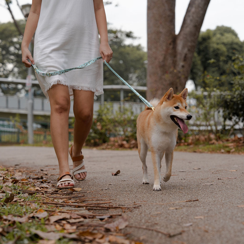 OverBaked Hands-free Leash