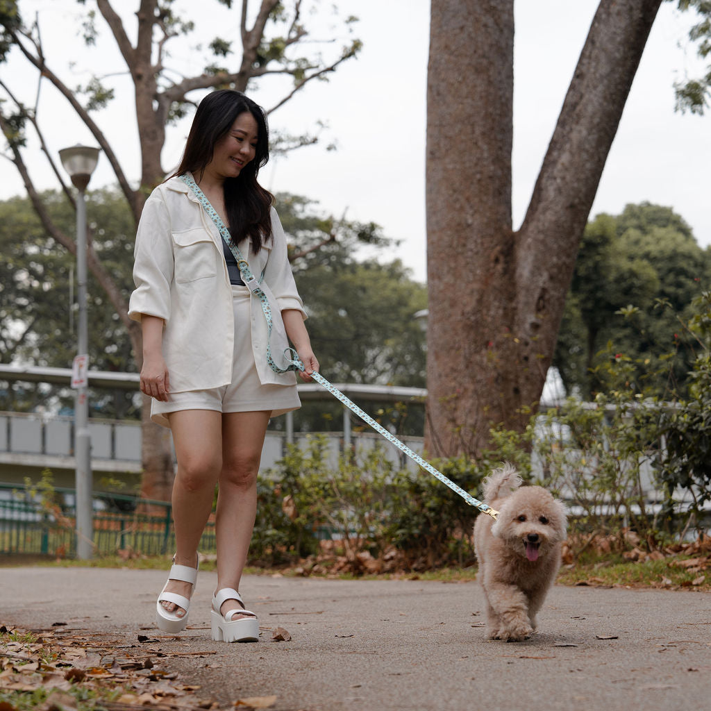 OverBaked Hands-free Leash