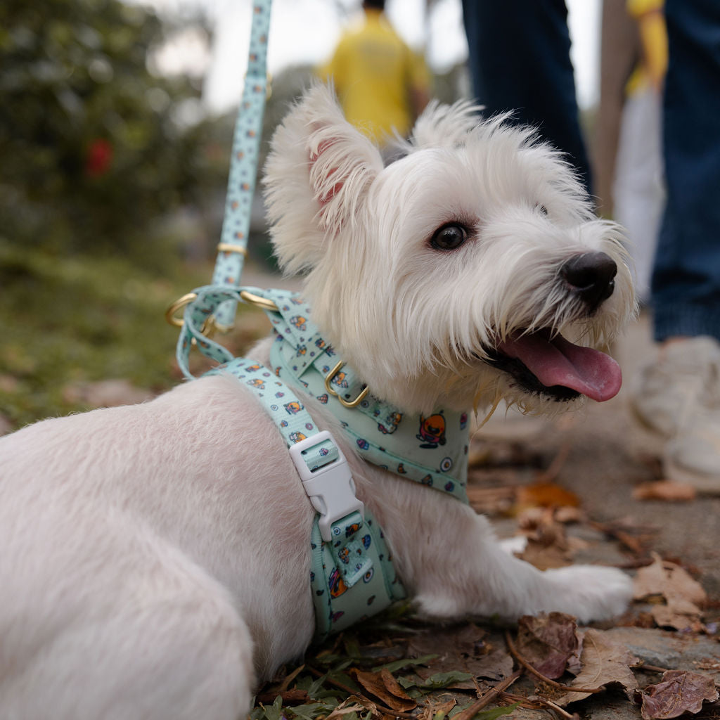 OverBaked Harness