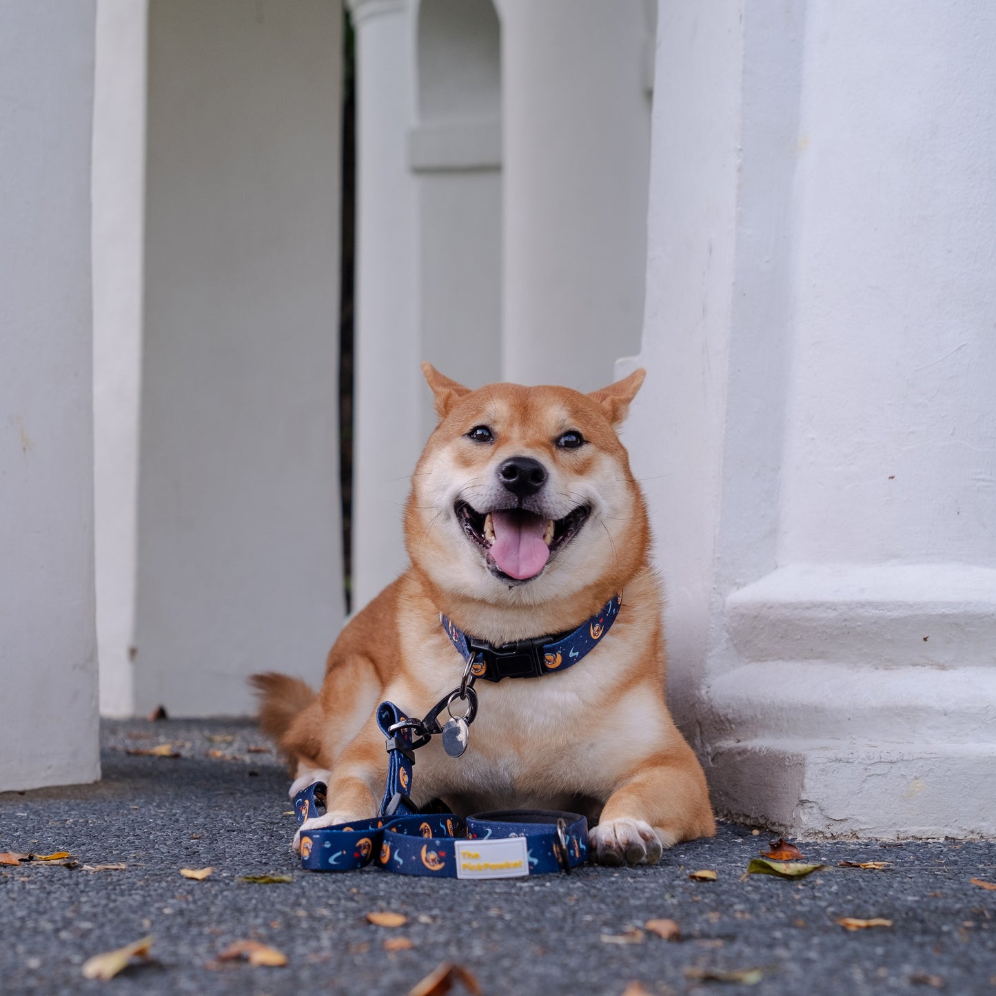 Over the Moon Leash