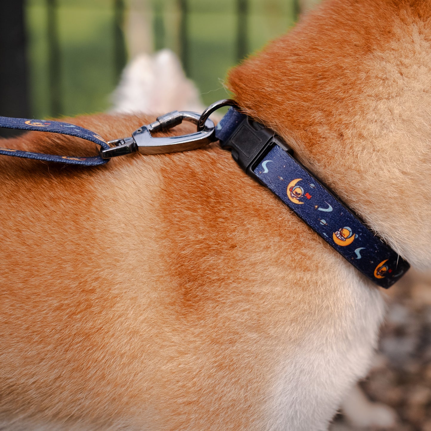 Over the Moon Collar