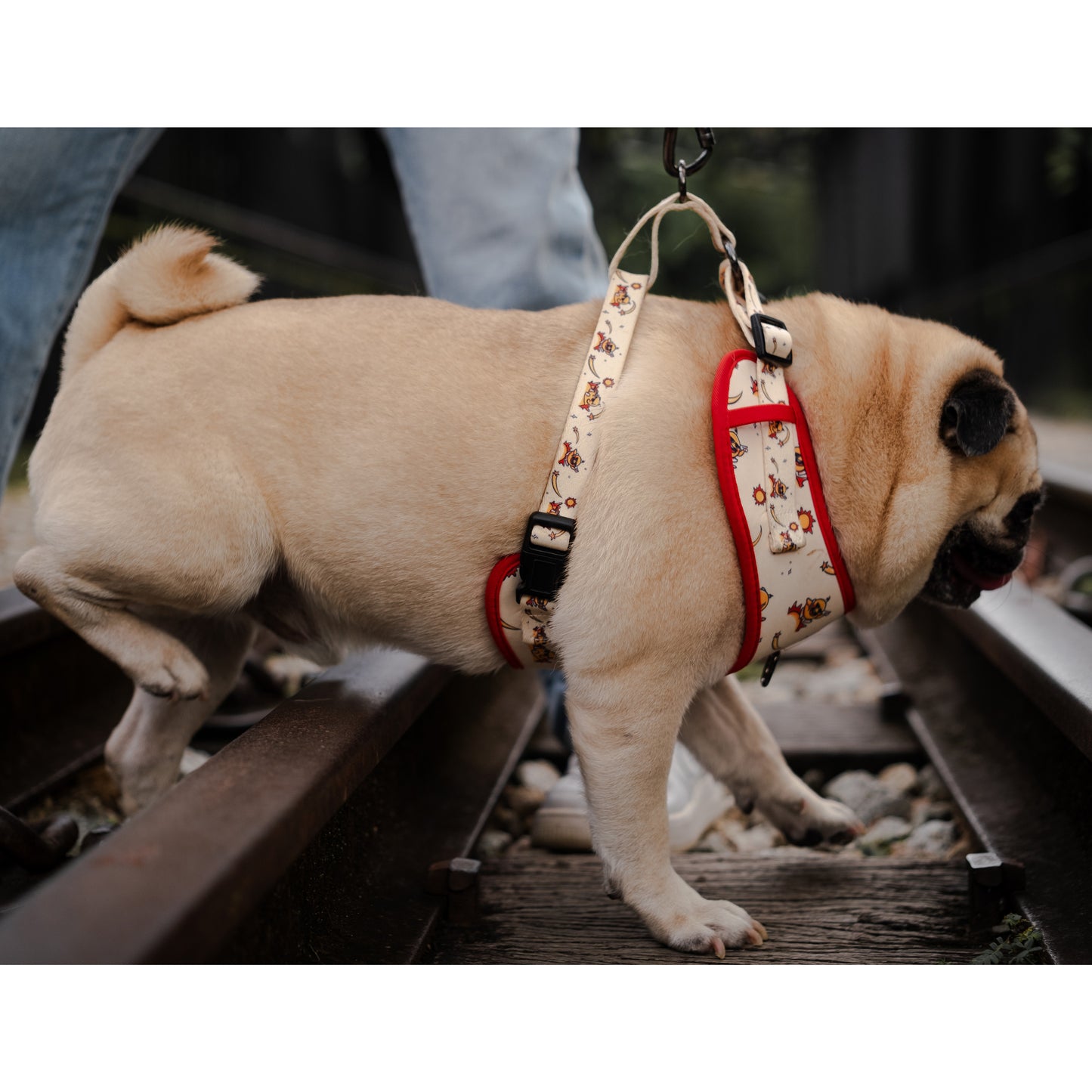 Sunny Side Up Harness