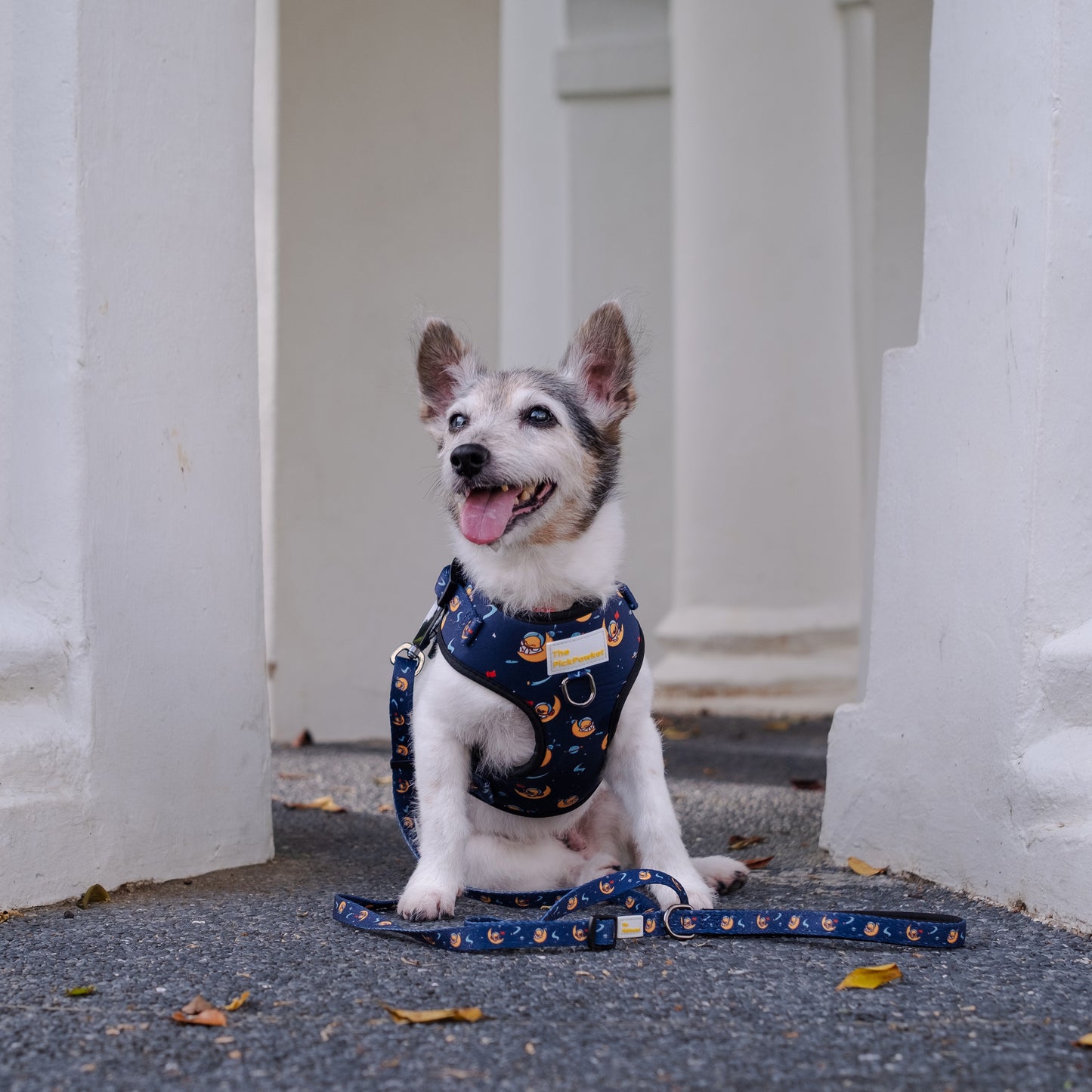 Over The Moon Harness